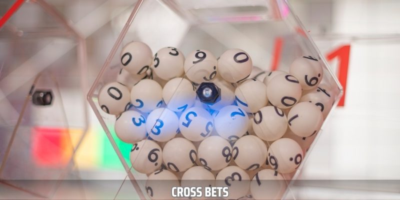 Mayclub Lottery - Attractive Betting Forms Today - Ảnh 3