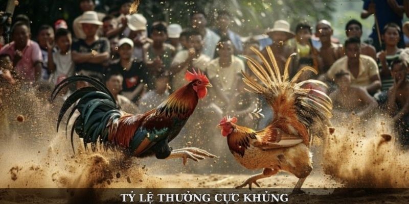Đá Gà BJ88 – Khám Phá Những Trận Chiến Nảy Lửa Đỉnh Cao - Ảnh 2