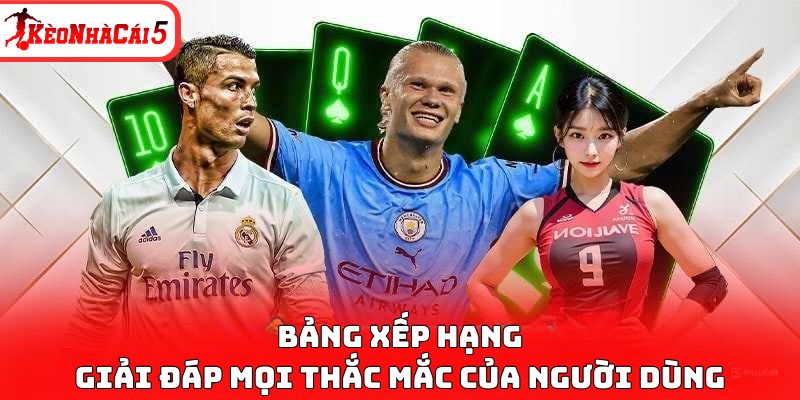 Bảng Xếp Hạng: Công Cụ Số 1 Dành Cho Người Hâm Mộ Thể Thao - Ảnh 3
