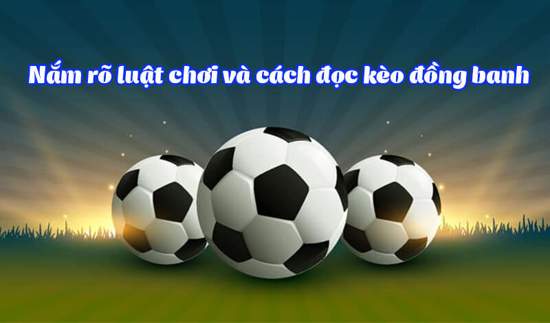 Kèo Đồng Banh Là Gì? Cách Đọc Cơ Bản Và Cá Cược Hiệu Quả - Ảnh 2