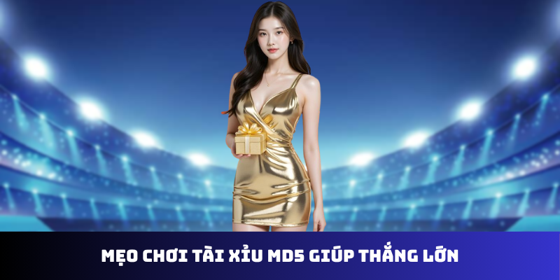 Chơi Tài Xỉu MD5 Go88: Cuộc Đua Thắng Lớn Bắt Đầu - Ảnh 3