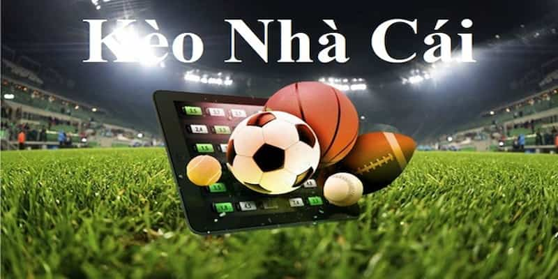 Hướng dẫn soi kèo nhà cái đơn giản tại nhacaiso1 - Ảnh 1