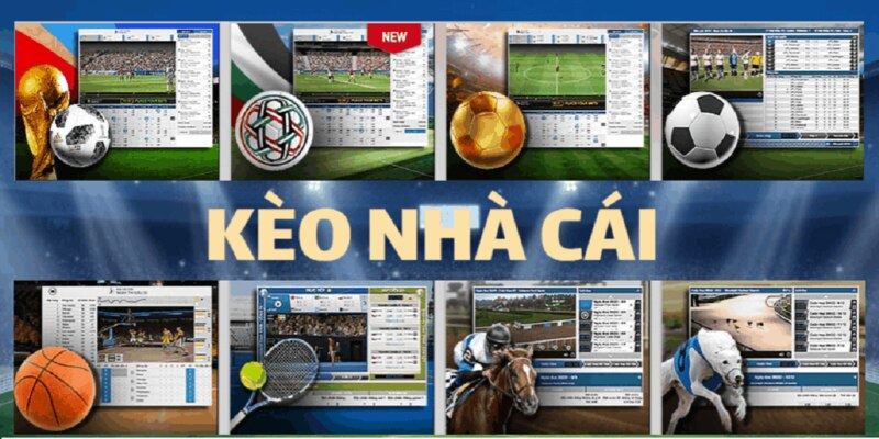 Giới Thiệu Kèo Nhà Cái - Cách Đọc, Cách Chơi Và Mẹo Hiệu Quả - Ảnh 1