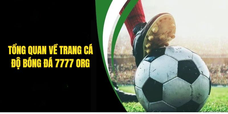 Link rút thưởng trang cá độ bóng đá 7777 Org chính thức - Ảnh 1