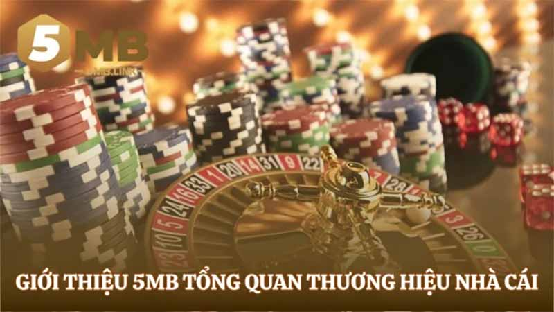 Giới thiệu 5 MB: Tất cả những gì bạn cần biết ngay hôm nay - Ảnh 1