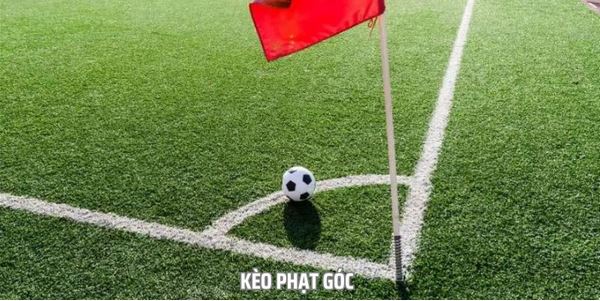 Thể Thao 888B - Sảnh Game Chinh Phục Trái Tim Mọi Bet Thủ - Ảnh 3