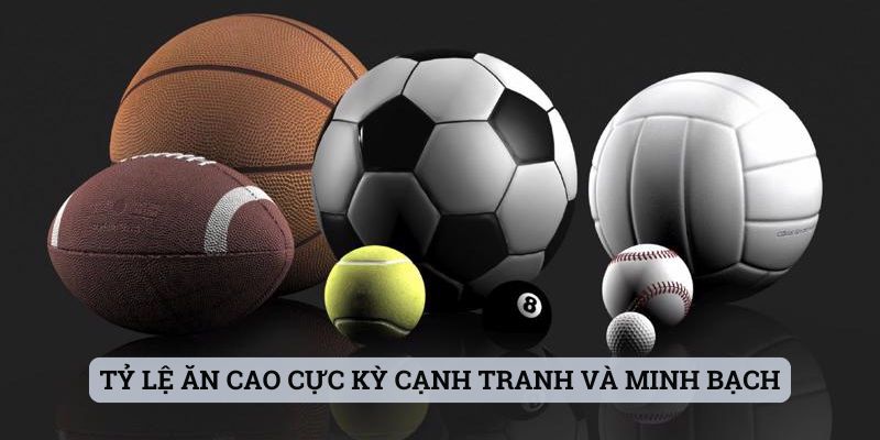Tại Sao Nên Cá Cược Thể Thao Trên Bj888? Giải Đáp Nhanh - Ảnh 4